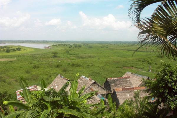 Amazon at Iquitos