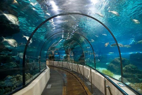Adventure Aquarium