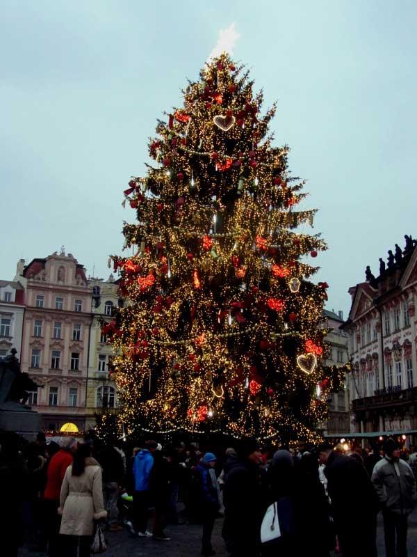 top christmas trees 2016